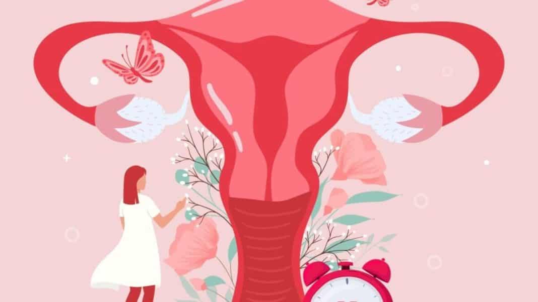 Cáncer de útero: Descubre los síntomas, el tratamiento y un mensaje de esperanza