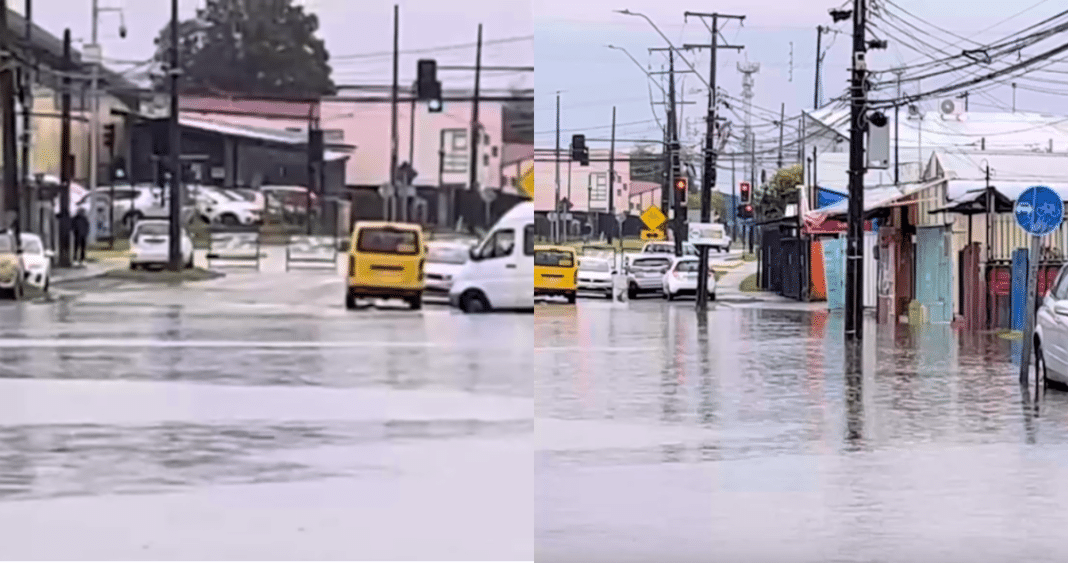 Caos en Los Ríos: Árboles caídos, calles inundadas y clases suspendidas tras el paso del sistema frontal