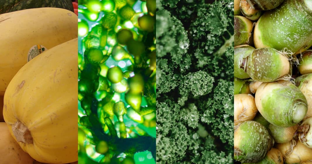 Descubre los secretos de estos 4 vegetales poco conocidos para mejorar tu salud
