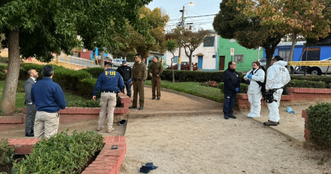 Impactante: Hombre muere tras ser apuñalado en una plaza en Viña del Mar