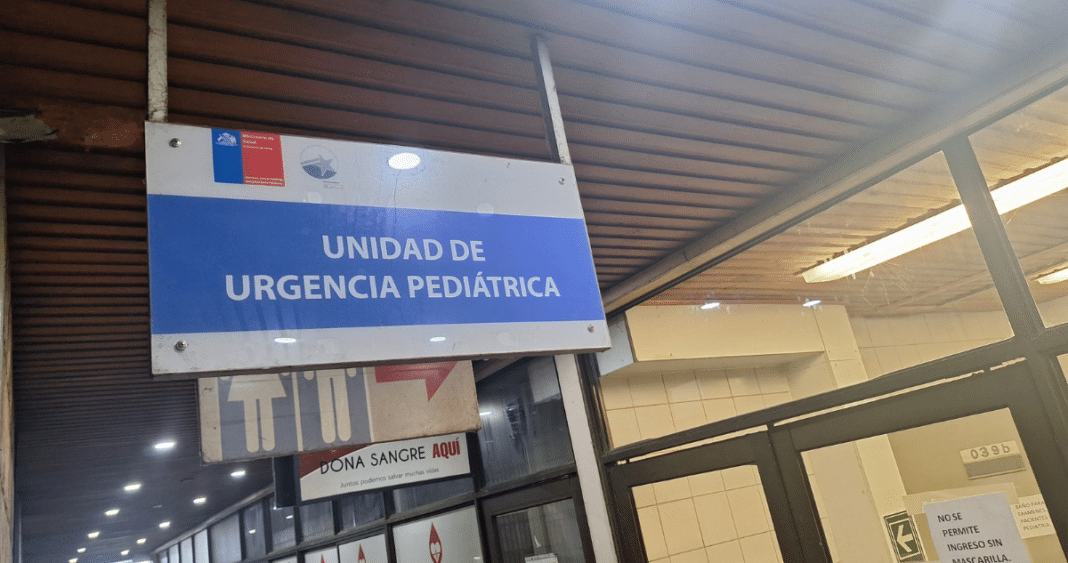Impactante ataque de perro deja a niño gravemente herido en Valdivia