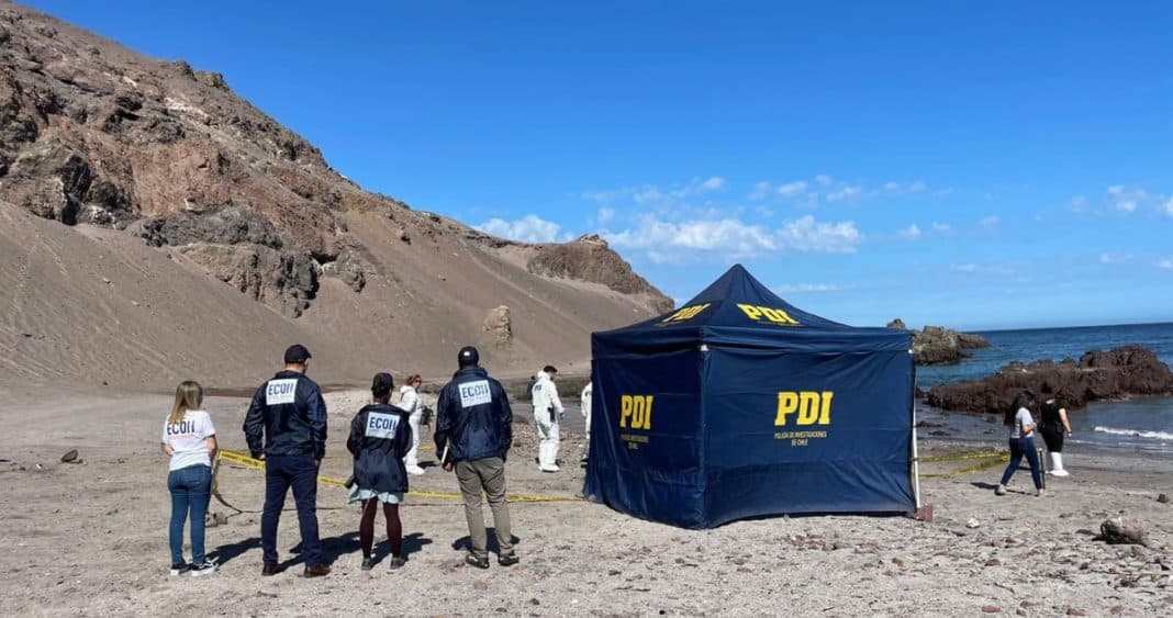 Impactante hallazgo en Playa Blanca de Iquique: hombre asesinado a balazos