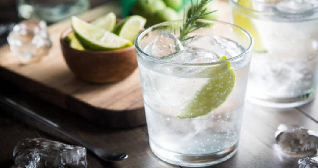 La industria del gin chileno triunfa en competencia internacional y sigue destacando en el extranjero