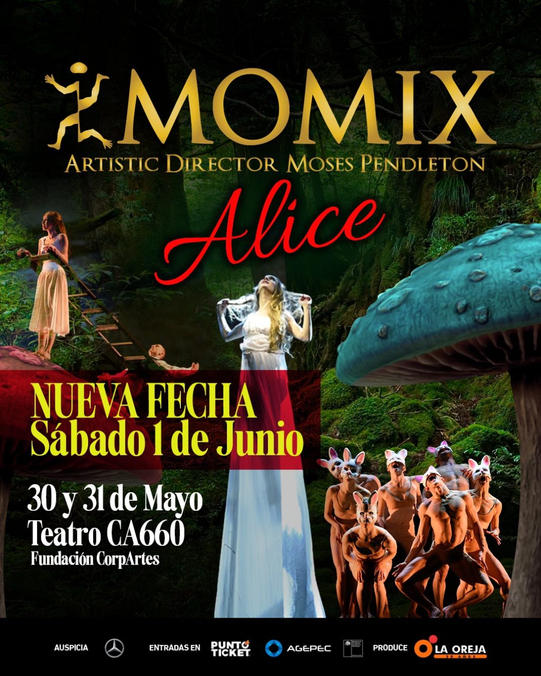 ¡Descubre el impactante espectáculo de MOMIX en Chile con su nuevo show “Alice”!