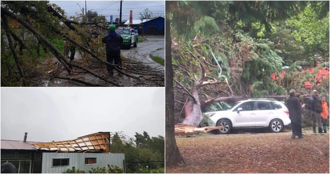 ¡Impactante! Racha de viento de 111 kilómetros por hora azota la región de Los Ríos