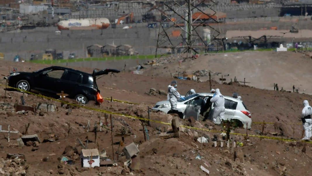 ¡Impactante hallazgo! Tres cuerpos encontrados en un cementerio de mascotas