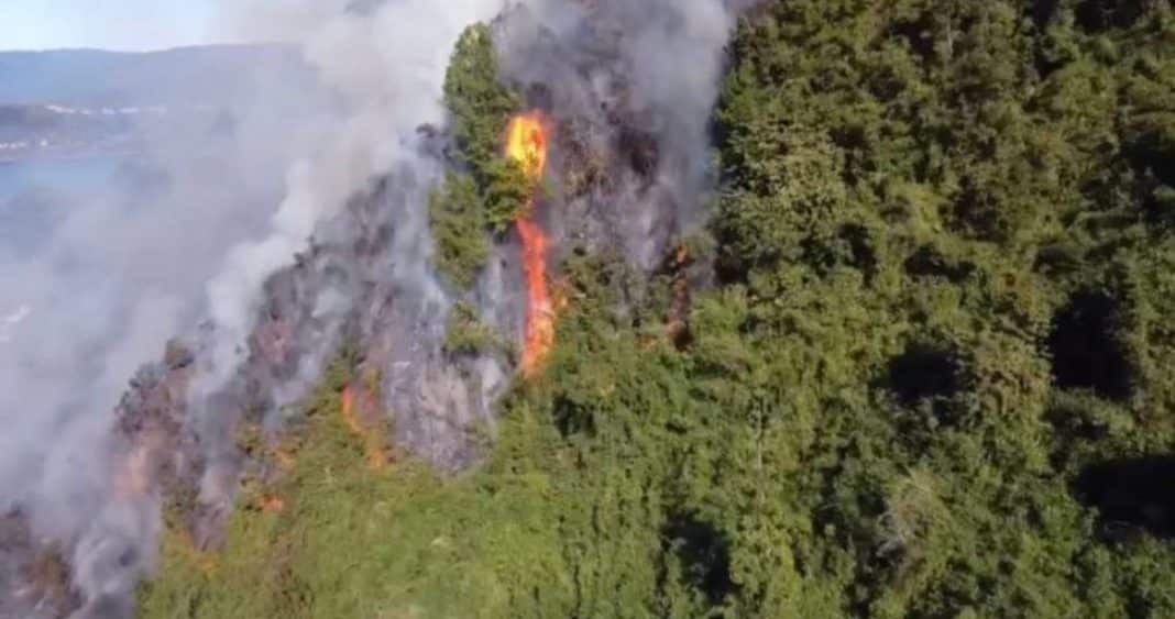 ¡Incendio amenaza viviendas en Niebla! ¿Qué provocó este desastre?