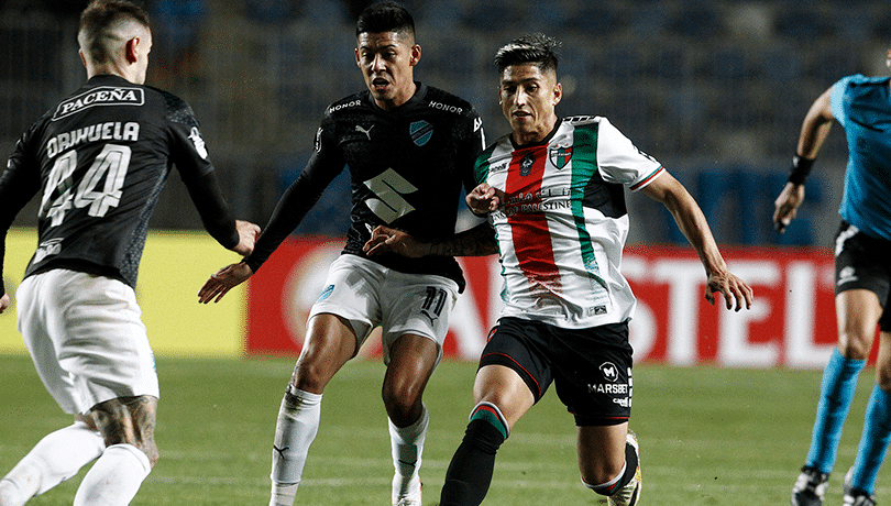 ¡Increíble! Palestino jugará en el Sánchez Rumoroso por la Copa Libertadores