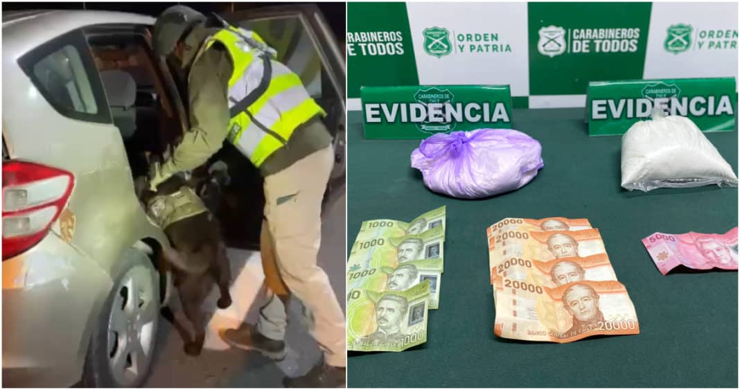 ¡Increíble hallazgo! Can del OS7 descubre gran cargamento de cocaína que se dirigía a Concepción