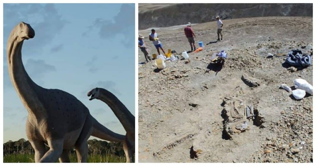 ¡Increíble hallazgo! Descubren fósiles de un titanosaurio milenario en la Patagonia argentina