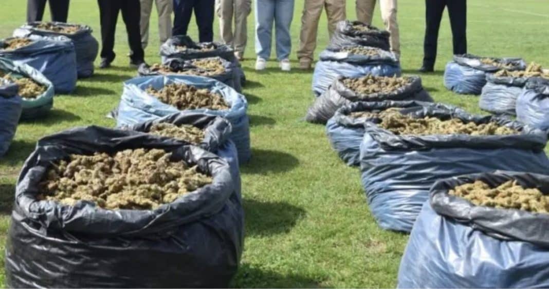 ¡Increíble hallazgo! PDI descubre 1,6 toneladas de droga escondida en túneles en Ovalle