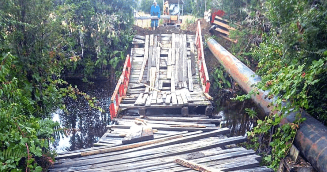 ¡Renueva los puentes de madera en Los Lagos y evita colapsos como el ocurrido en Panitao!