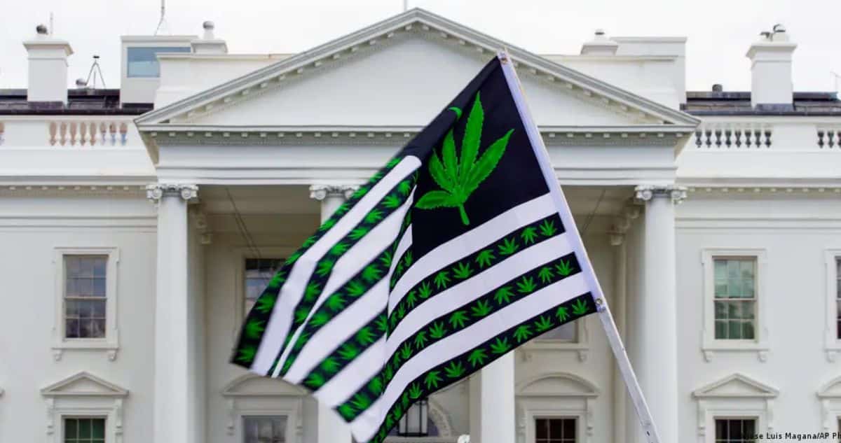 ¡Adiós a la Criminalización de la Marihuana! Biden Propone Reclasificarla como Droga de Bajo Riesgo
