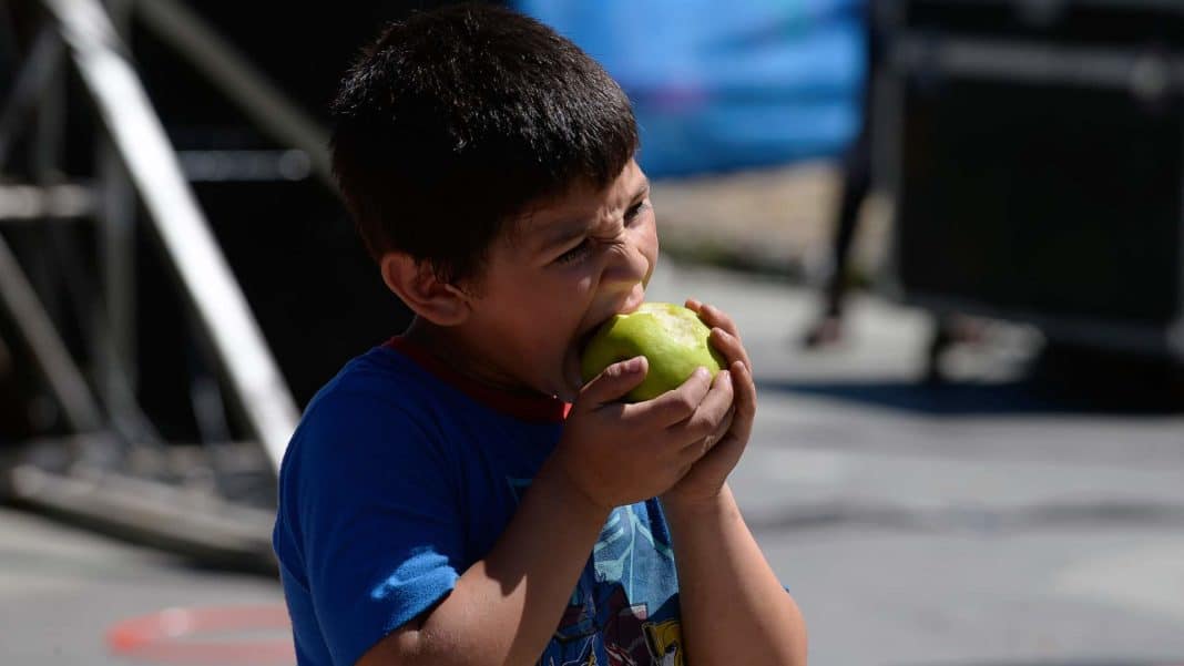 Alerta Nutricional: Magallanes y Aysén, las regiones con más estudiantes con obesidad en Chile