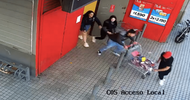Bandas Criminales Asolan Supermercados del Gran Concepción: 23 Delincuentes Tras las Rejas