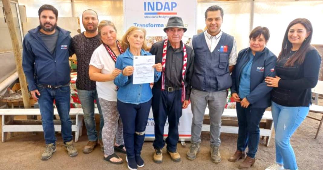 Comunidad Diaguita Araya-Araya: Pioneros en Acceder a Programas de Fomento del Indap en Valparaíso