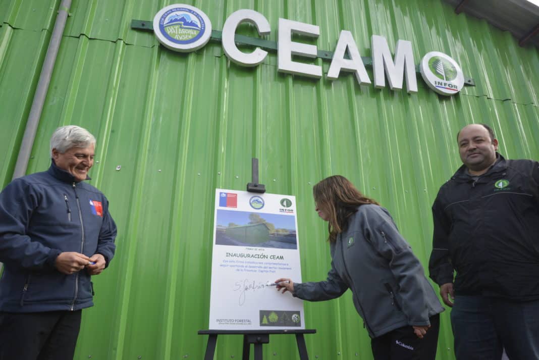 Descubre cómo el Primer Centro de Elaboración, Almacenamiento y Acopio de Maderas de la Patagonia está transformando la industria forestal