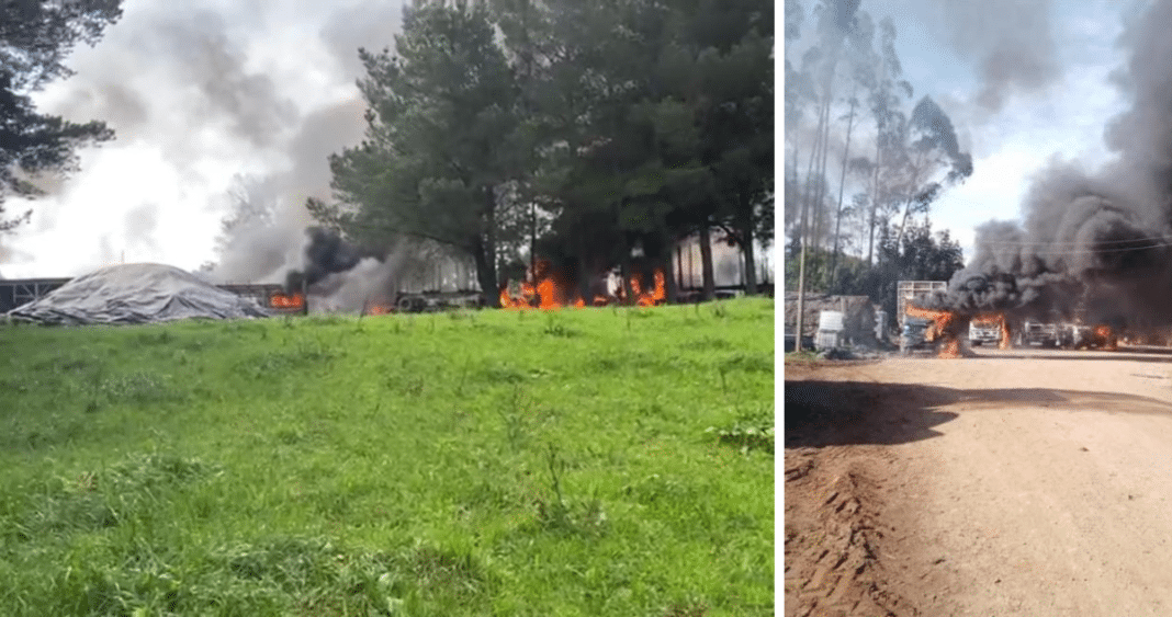 Devastación en Río Negro: Camiones y Maquinaria Destruidos en Ataque Incendiario Forestal