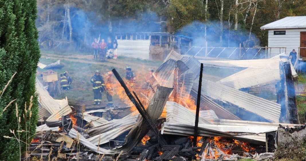 Devastador Incendio Consume Hostal en Ruta Valdivia-Mariquina: Una Tragedia Que Conmociona a la Región