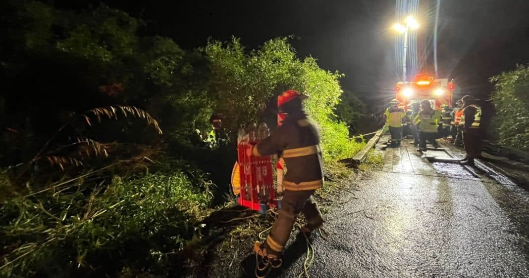 Tragedia en Lago Ranco: Conductor Muere Tras Caer con Camioneta a Estero