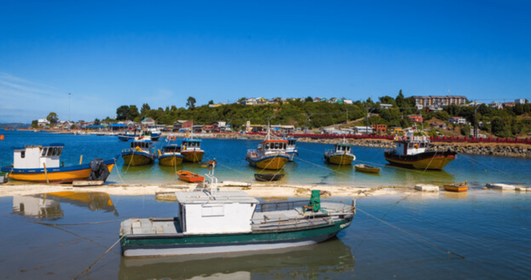 Tragedia en el Mar: La Pesca Artesanal de Puerto Montt Llora la Pérdida de Uno de los Suyos