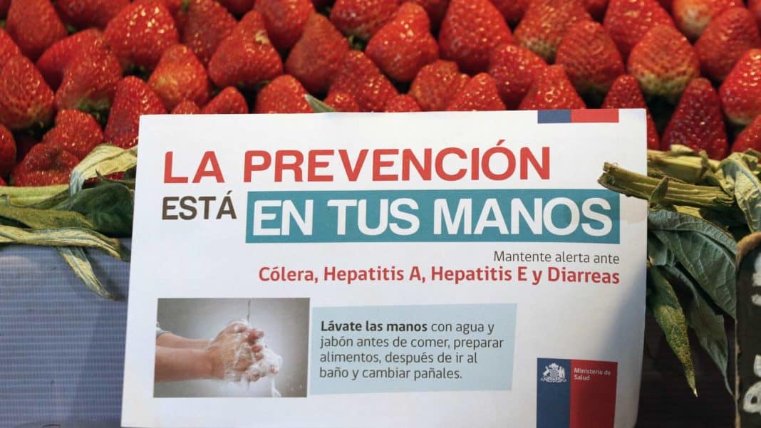 ¡Alerta Sanitaria! Cólera Regresa a Chile Después de Décadas: Síntomas y Prevención Que Debes Conocer