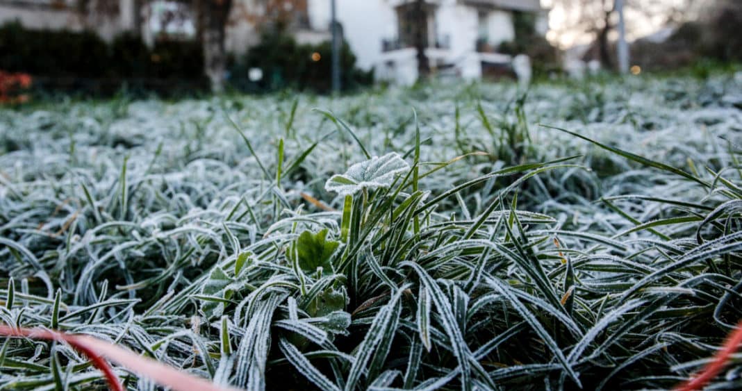 ¡Alerta de Heladas Extremas! Siete Regiones Enfrentan Temperaturas Gélidas Hasta los -4°C