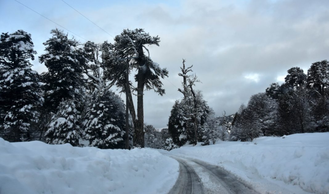 ¡Alerta de Nevadas Extremas en el Sur de Chile! Prepárate para Enfrentar el Desafío