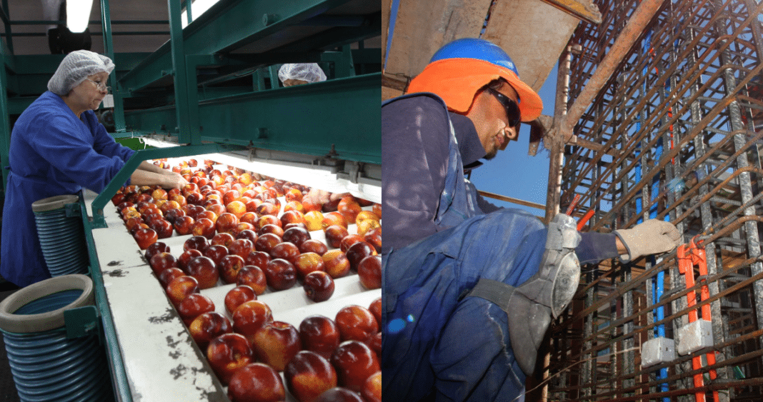 ¡Ñuble Florece con Más de 7.000 Nuevos Empleos! Descubre el Impresionante Crecimiento Laboral de la Región