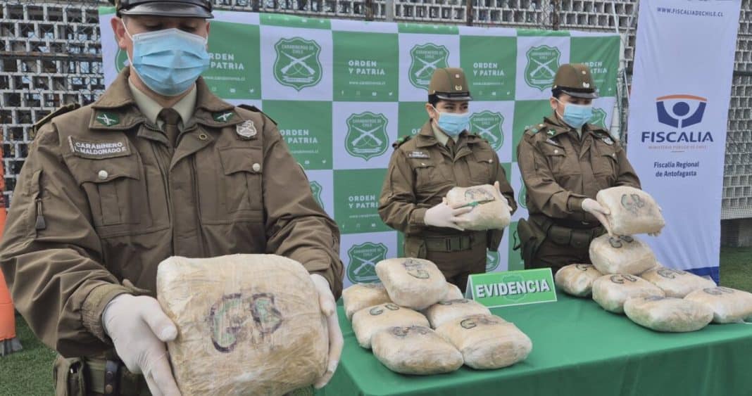 Antofagasta Triumphs in the War on Drugs: Record-Breaking Seizures Shatter Previous Year's Totals