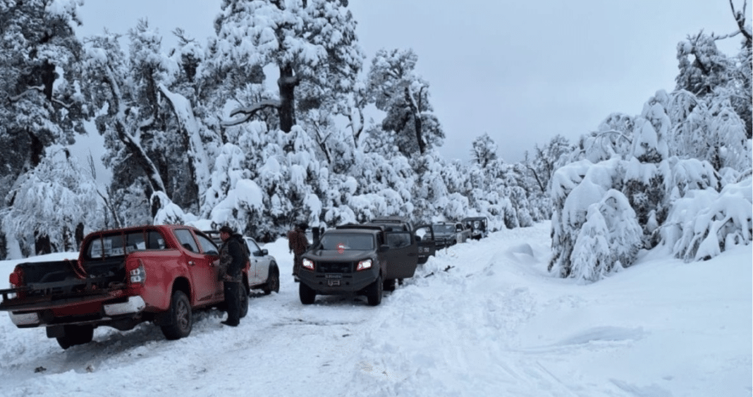 Búsqueda Infructuosa en el Parque Nacional Villarrica: La Lucha Incesante por Encontrar al Hombre Desaparecido