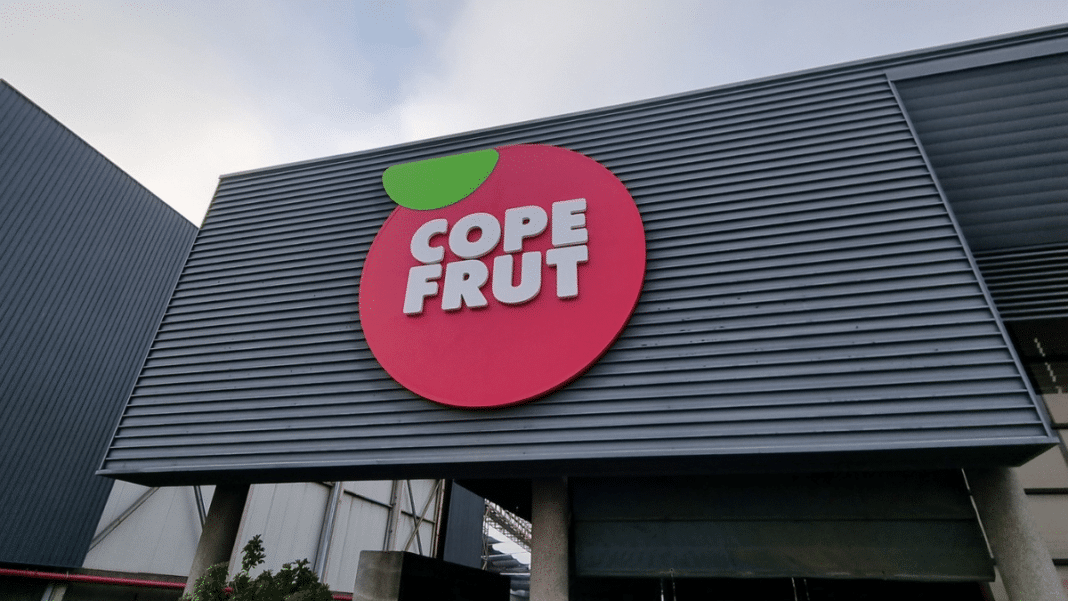 Copefrut: Liderando la Sostenibilidad en la Industria Frutícola