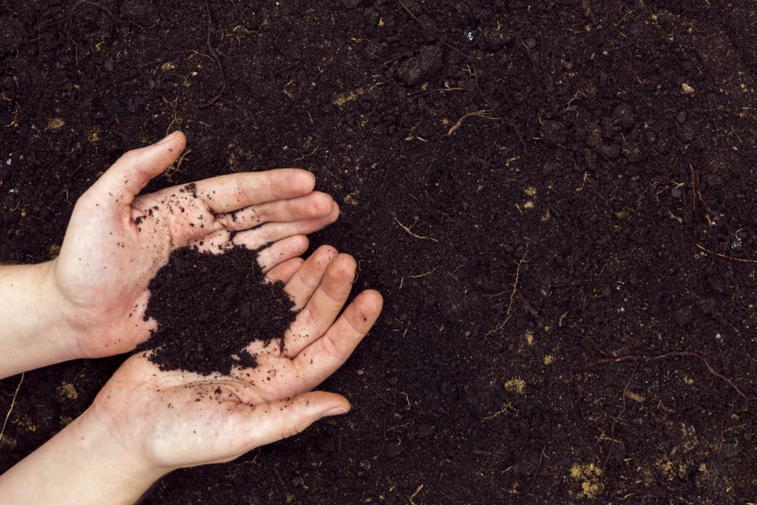 Descubre cómo el Biodigestor de Open Kennedy Está Transformando Residuos en Valioso Compost