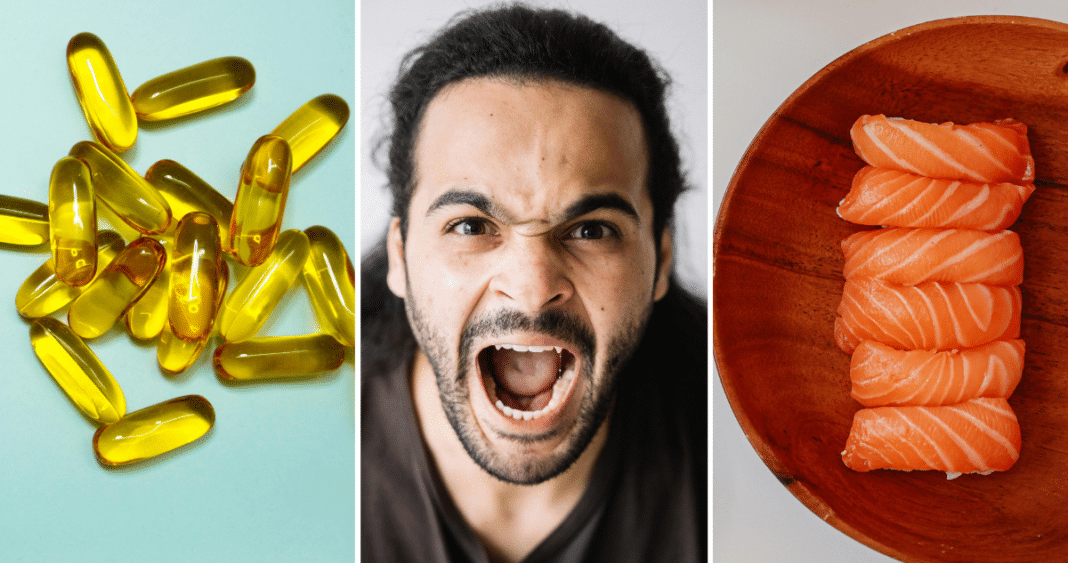 Descubre cómo los Omega-3 pueden reducir significativamente la agresividad, según nueva investigación