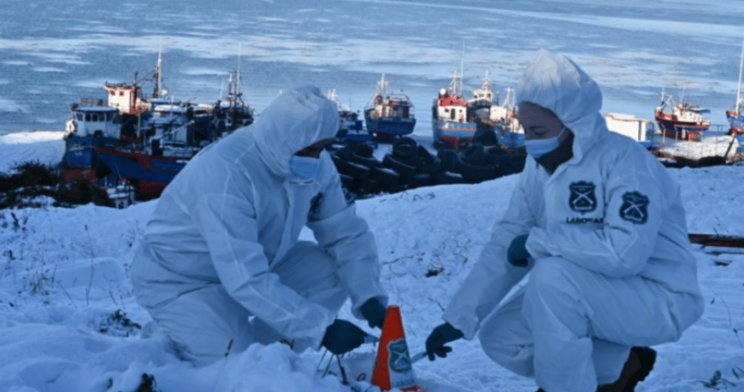 Descubren Cuerpo Semidesnudo en Medio de la Nieve: Un Misterio Helado en Punta Arenas