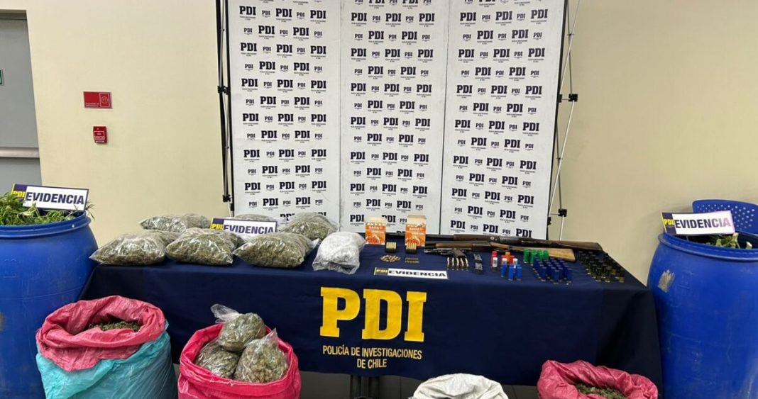 Golpe Contundente al Narcotráfico: PDI Incauta 30 Kilos de Marihuana en Curicó