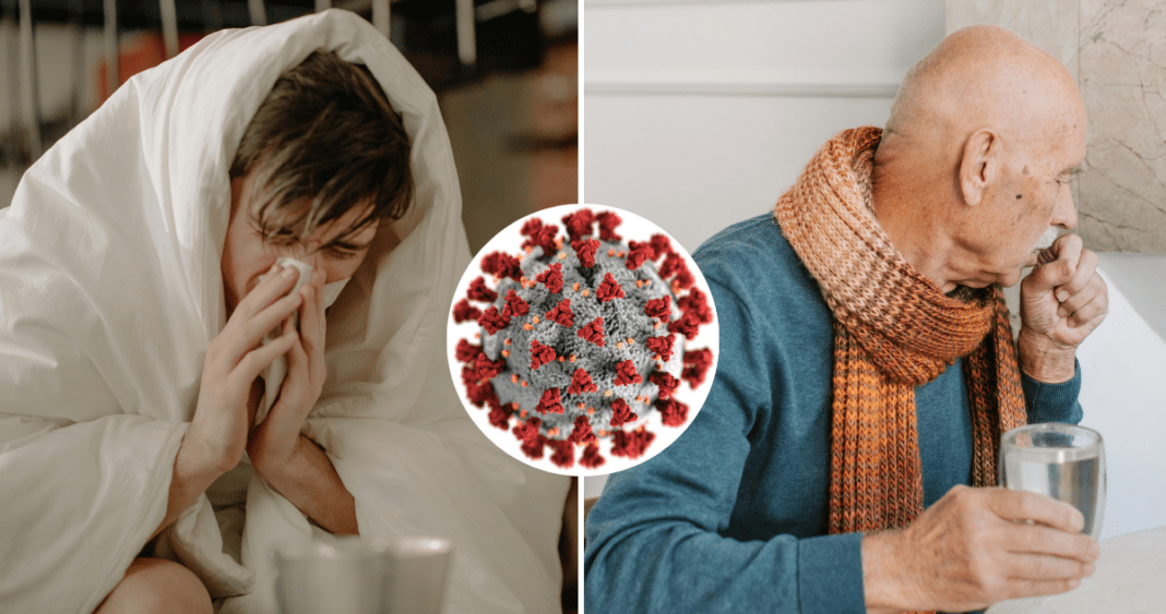 Protege tu Salud este Invierno: Descubre Cómo Combatir los Virus Respiratorios