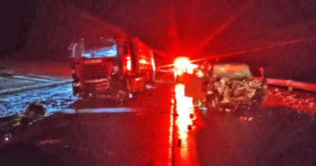 Trágico Accidente en Ruta Austral: Funcionaria Pública y su Madre Fallecen en Impactante Colisión