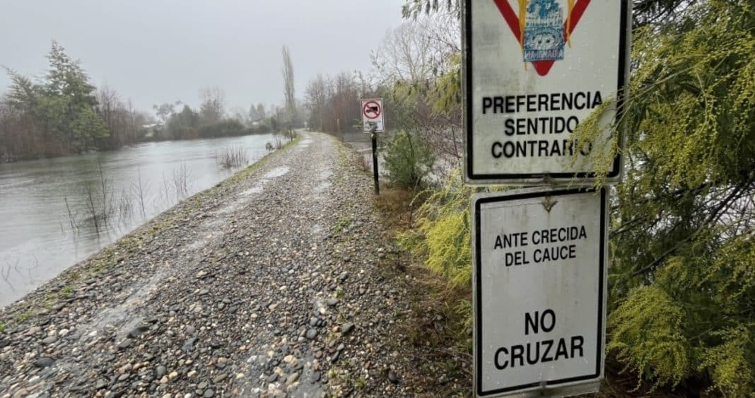¡Alerta en Isla Huape! Vecinos temen quedar aislados por la crecida del río