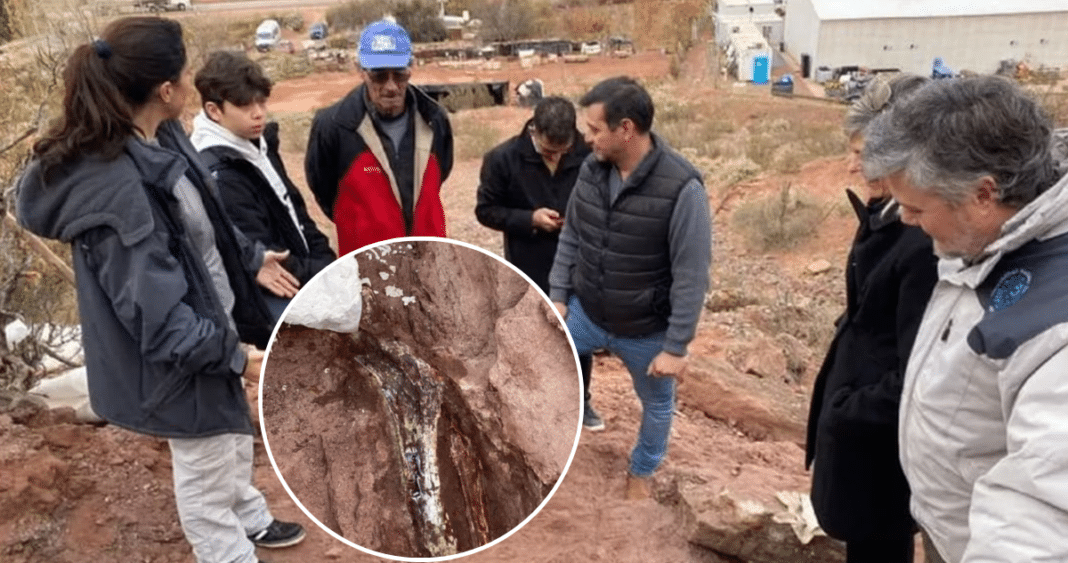 ¡Descubre el Asombroso Hallazgo de un Gigantesco Dinosaurio en el Patio de un Niño Argentino!