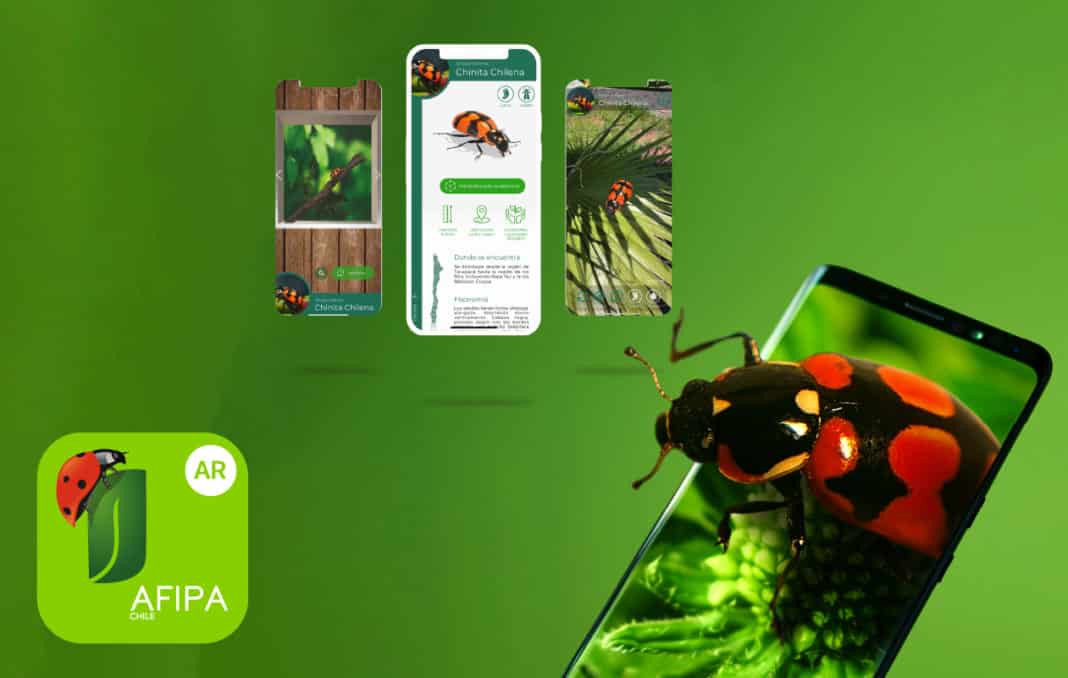 ¡Descubre el Mundo Fascinante de los Insectos con Insectarium AR 3.04 de AFIPA!