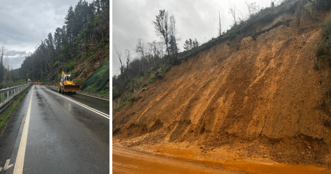 ¡Descubre la Ruta de la Madera: Desafíos y Obstáculos en el Camino a San Pedro y Santa Juana!