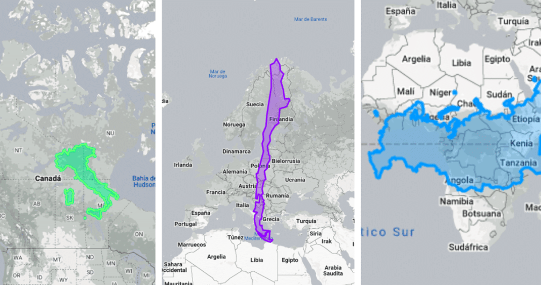 ¿Cómo los Mapas Distorsionan la Realidad Geográfica? Descubre la Verdadera Dimensión de los Países