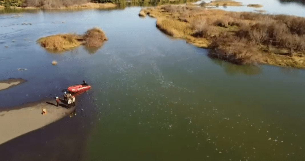 Descubren Cuerpo Junto al Río Bío Bío: La Trágica Búsqueda de un Hombre Desaparecido