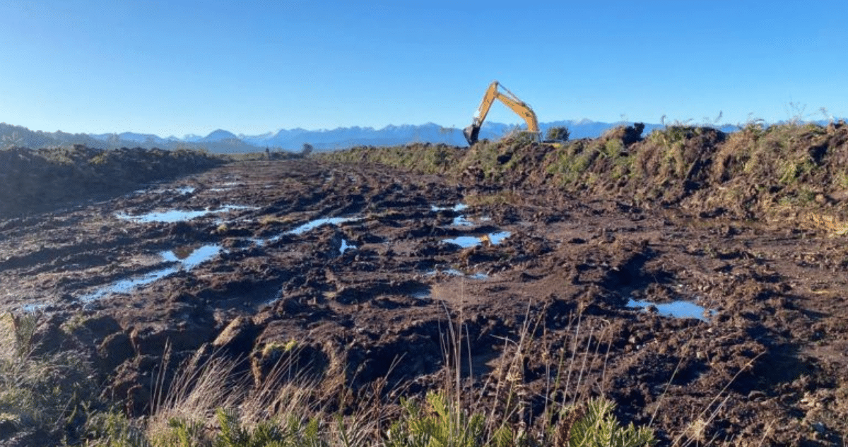 Detienen Construcción Inmobiliaria que Dañaba Humedal en Puerto Montt: Una Batalla por la Preservación Ambiental