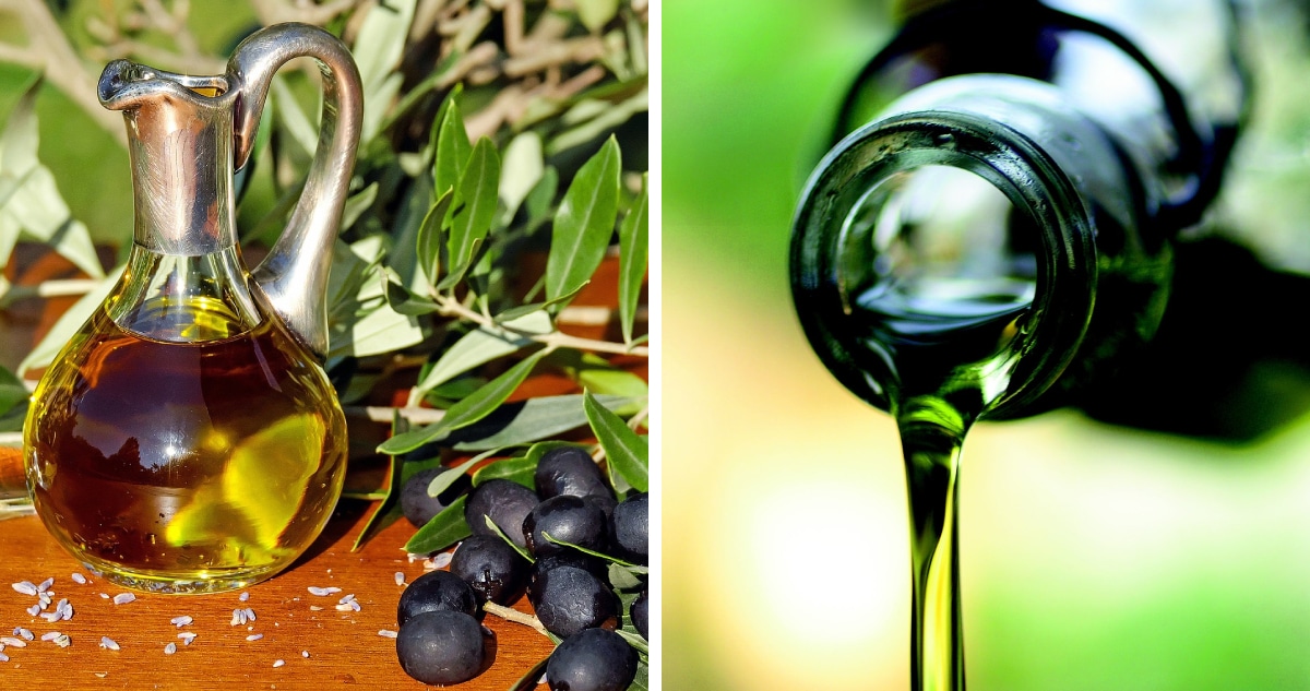 Escasez global de aceite de oliva: Precios se disparan en Chile