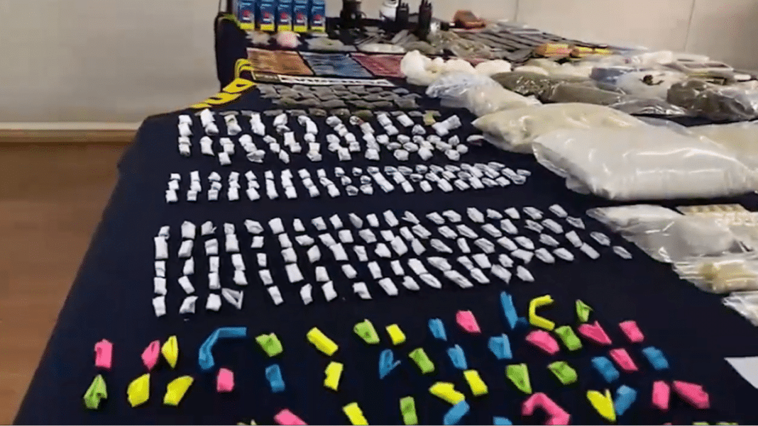 Golpe Contundente al Narcotráfico: Operativo Policial Incauta Armas, Municiones y Drogas en Pudahuel