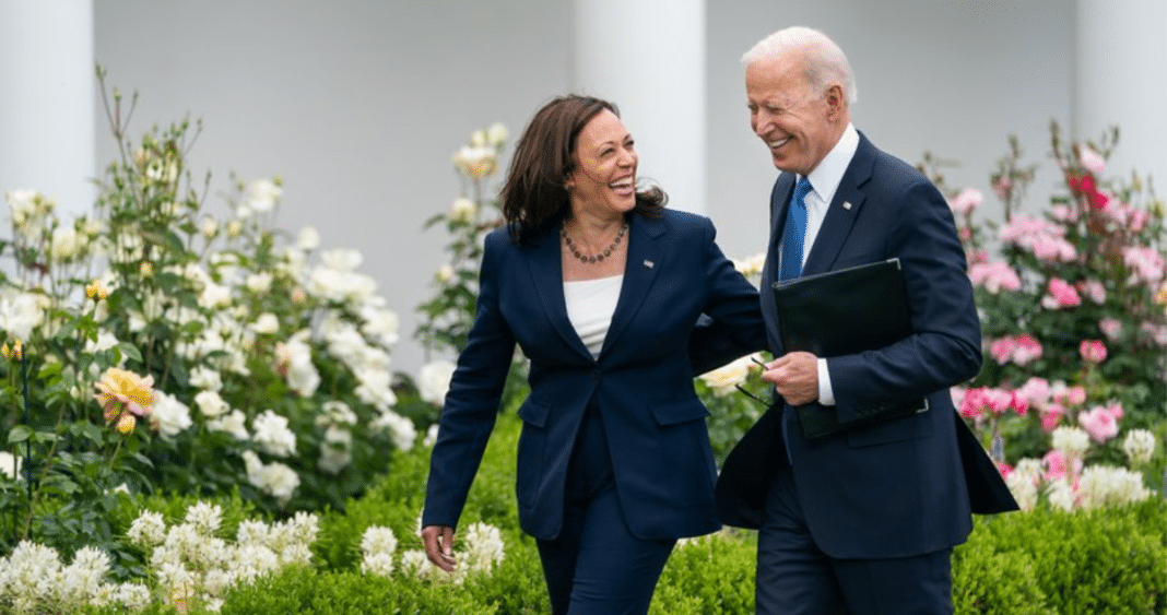 Kamala Harris, la nueva estrella demócrata: Biden la respalda como candidata presidencial