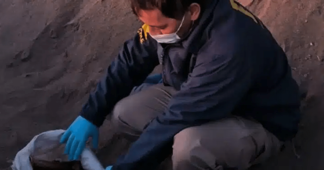 Macabro Hallazgo en la Costanera de Antofagasta: Restos Humanos Encontrados en un Saco