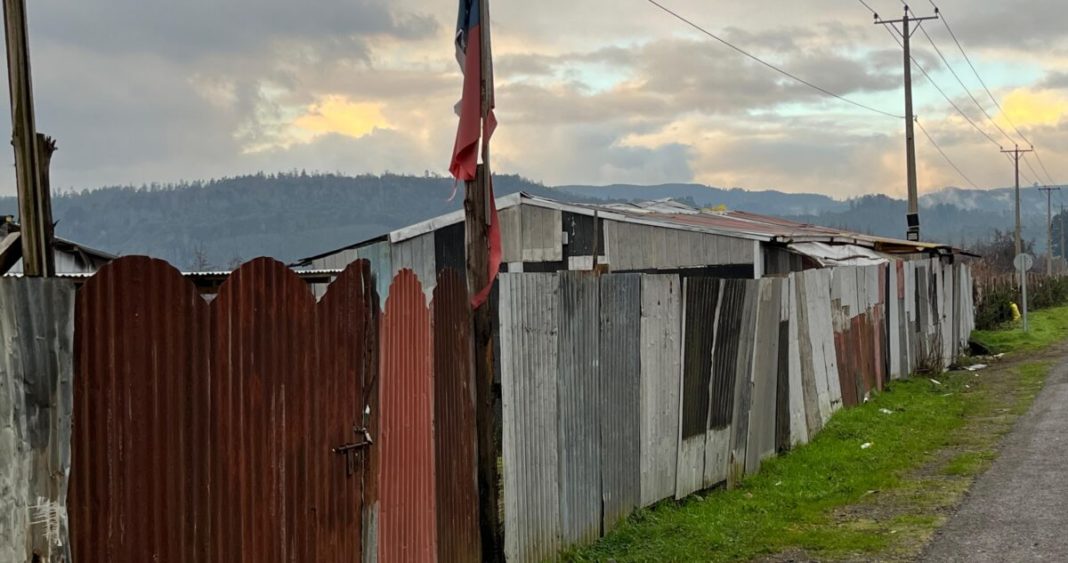 ¡Alerta Ambiental! BBNN Lucha por Recuperar Terrenos Invadidos en Humedales de Valdivia